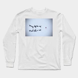 Morning Flight Long Sleeve T-Shirt